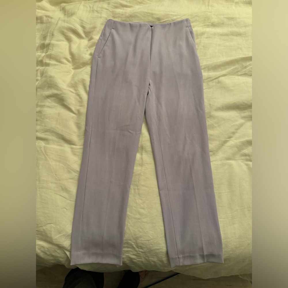 Ann Taylor Side Zip Women's Purple Ankle Pant